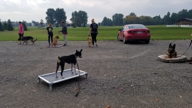 44317644045_cae67672e0_o