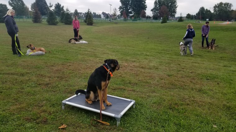 44733530014_d1f93d2406_k